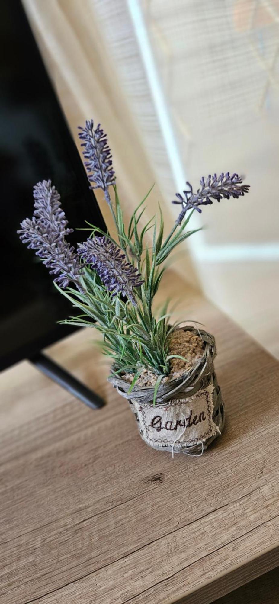 Greta Apartman Hajduszoboszlo Ngoại thất bức ảnh